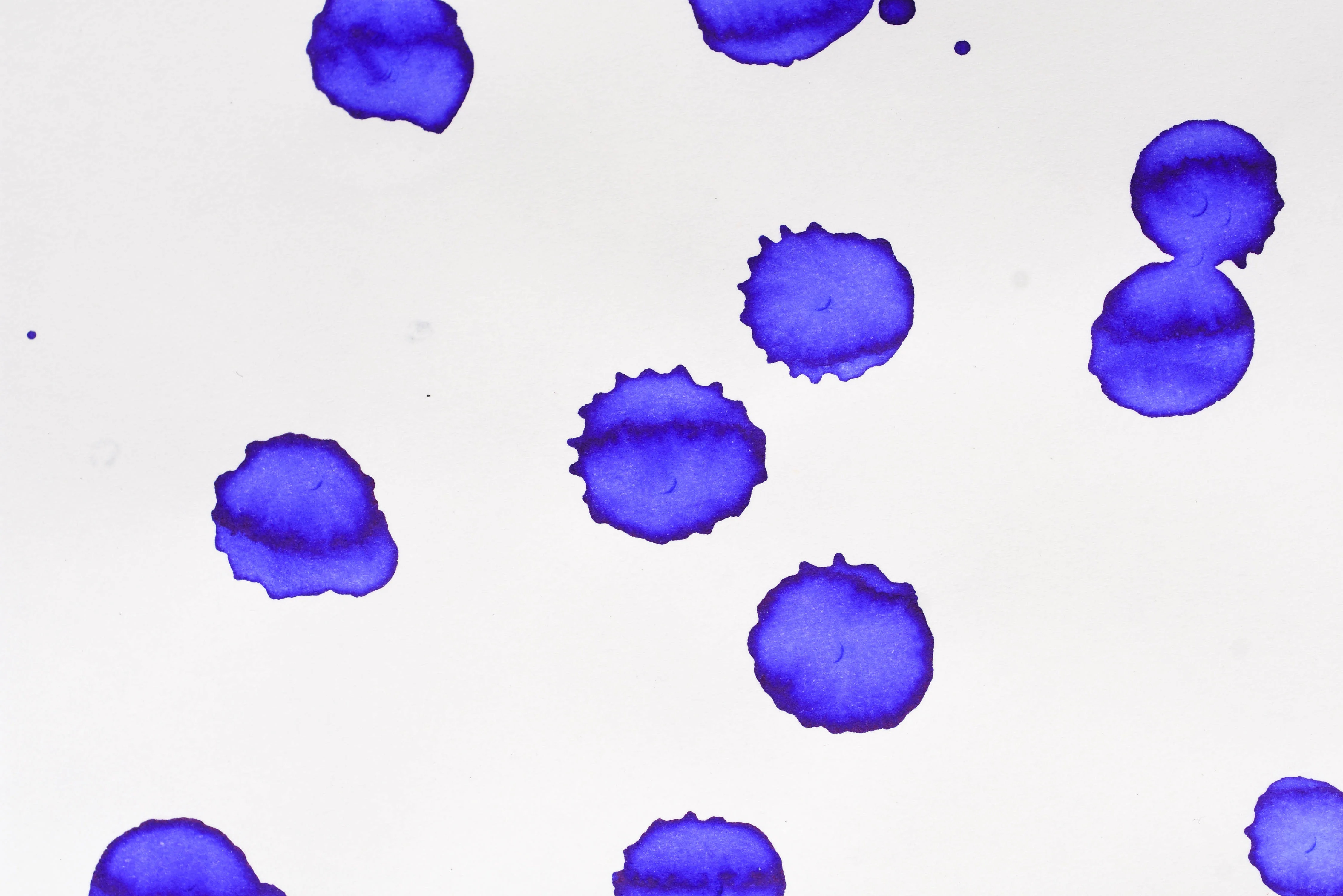 Pilot Iroshizuku Ink - Ajisai - 50 mL Bottle Ink - Image 5