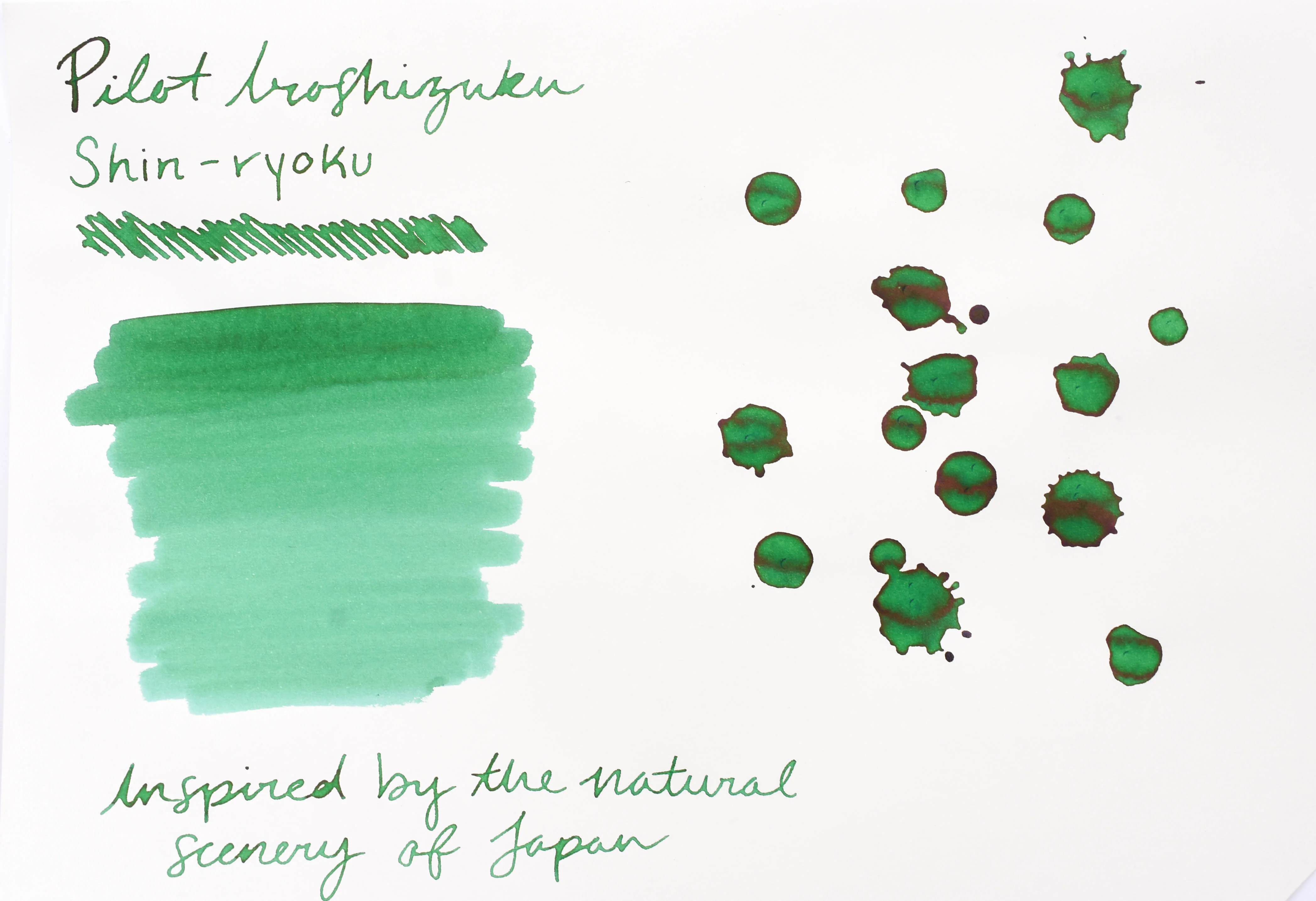 Pilot Iroshizuku Ink - Shin-ryoku - 50 mL Bottle Ink - Image 3