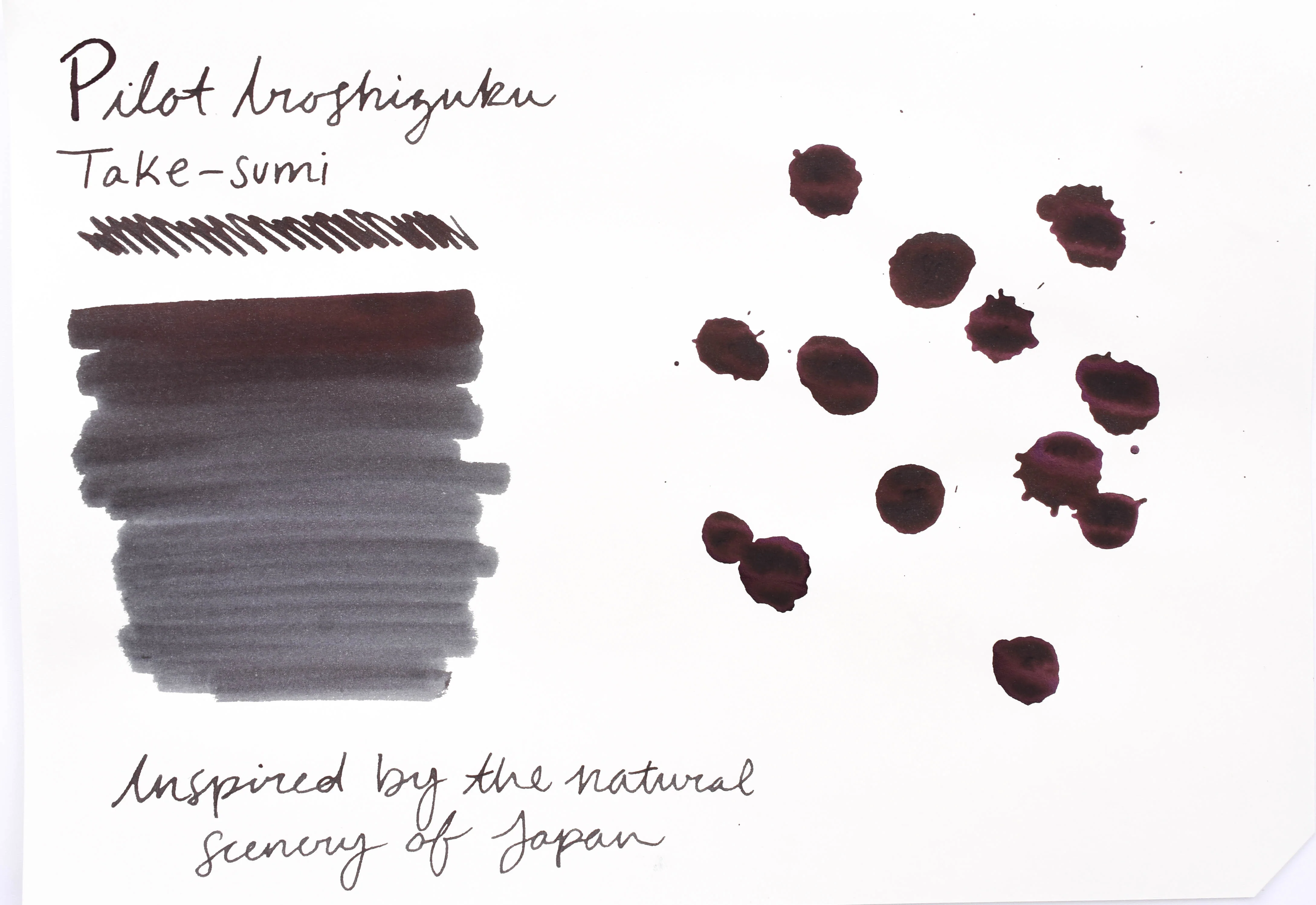 Pilot Iroshizuku Ink - Take-sumi - 50 mL Bottle Ink - Image 3
