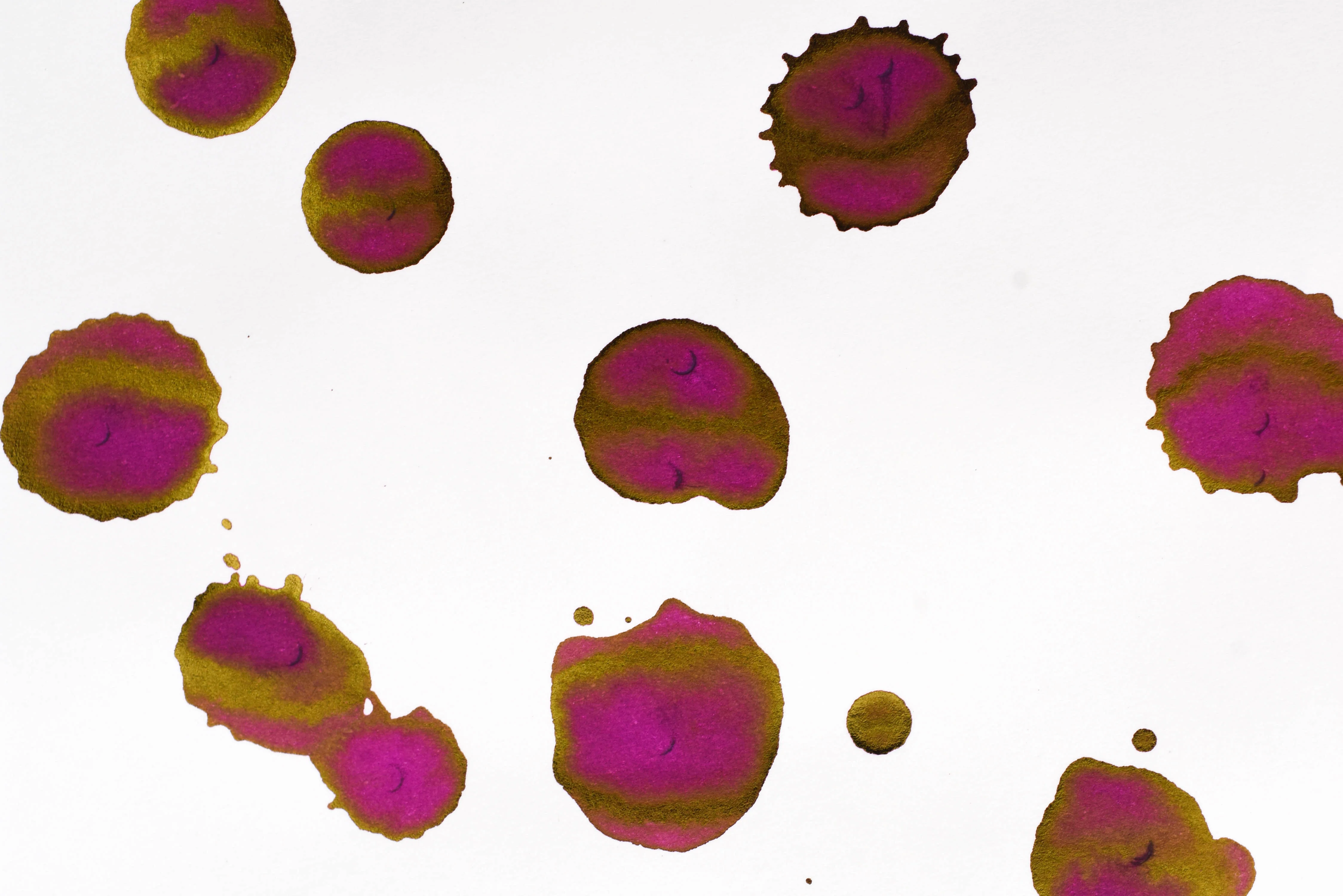 Pilot Iroshizuku Ink - Yama-budo - 50 mL Bottle Ink - Image 5