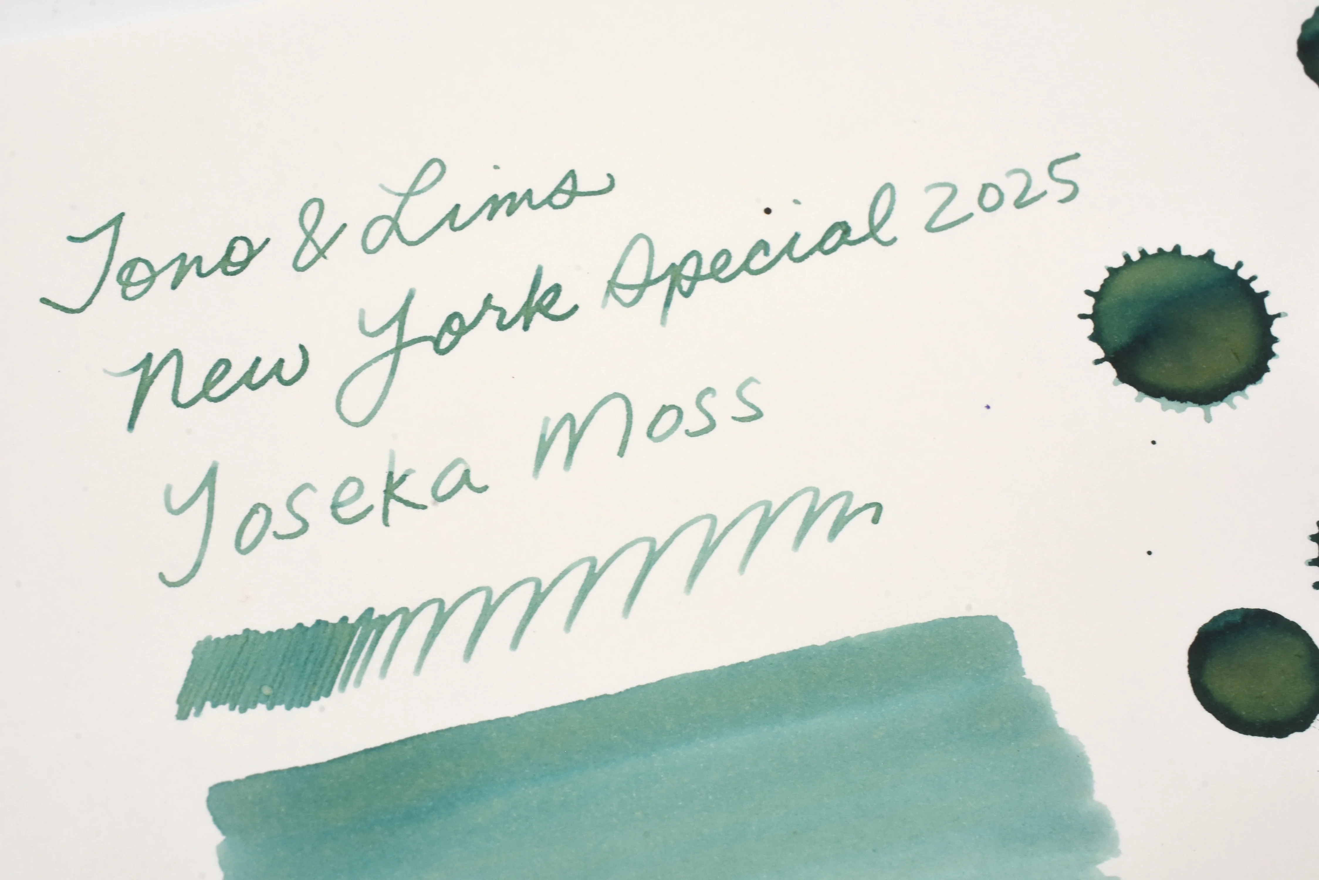 Tono & Lims Ink Bottle - A Space Walk at Yoseka - Yoseka Moss - 30ml - Limited Edition - Image 3