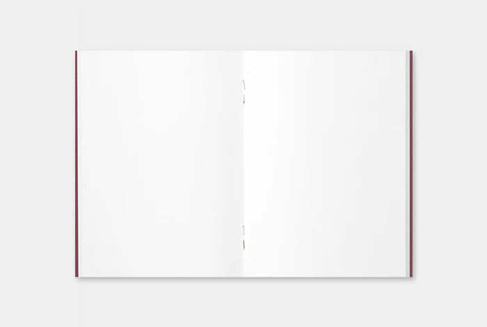 TRAVELER's Notebook - Passport Size - Camel - Image 3